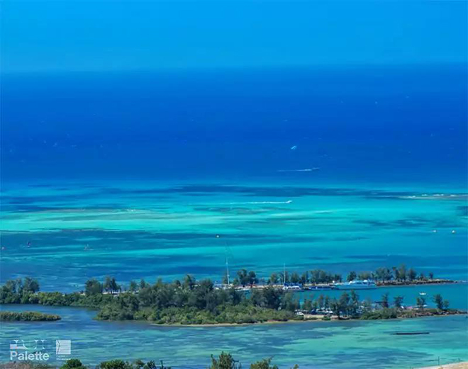 1590376917984294.jpg 1.jpg