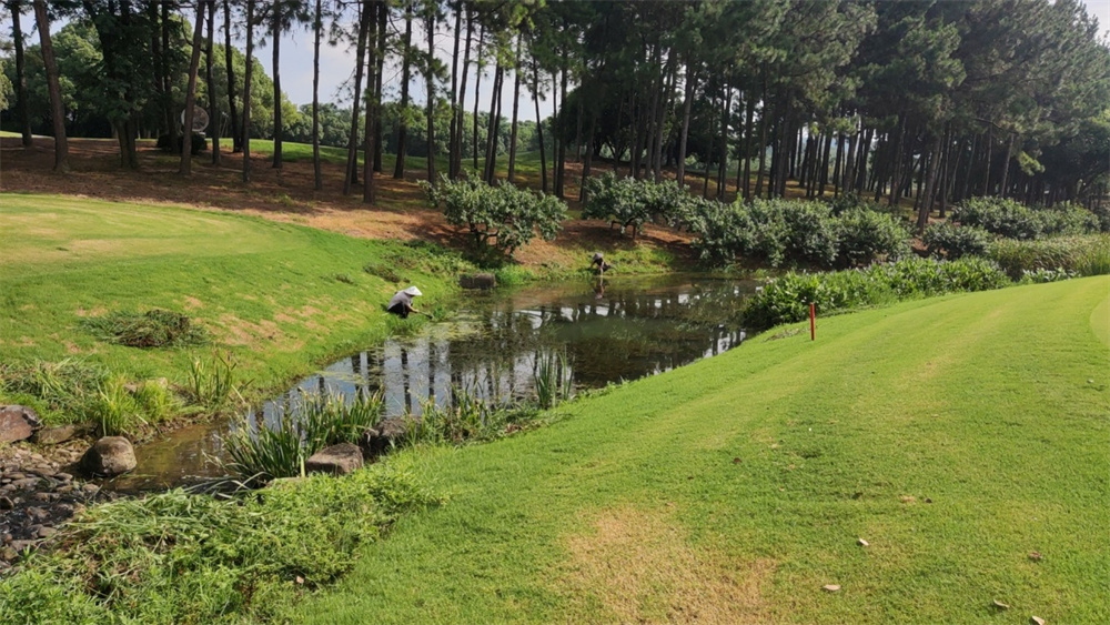 1689580777174627.jpg image009.jpg