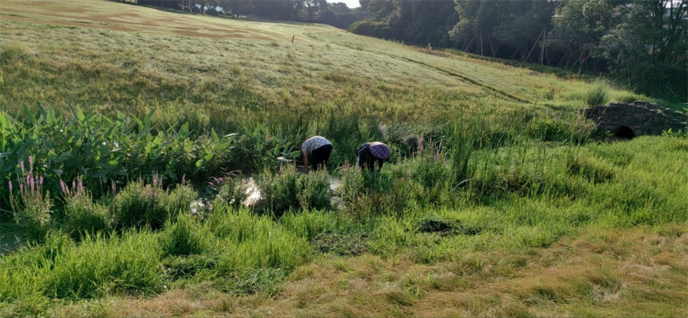 1689580783973084.jpg image011.jpg