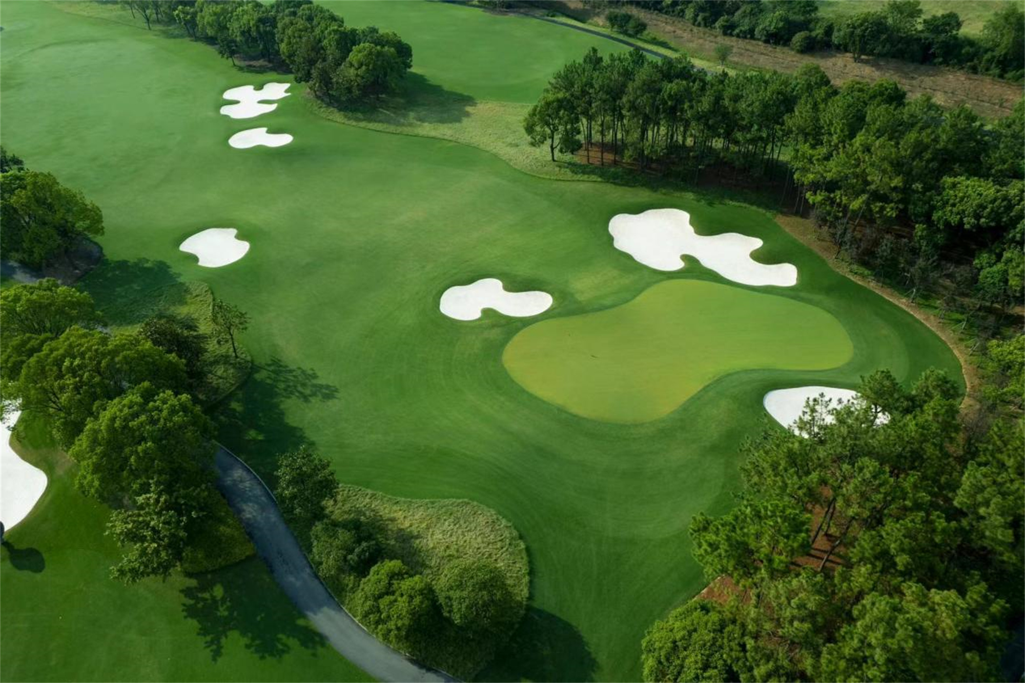 1697452221474268.jpg image007.jpg