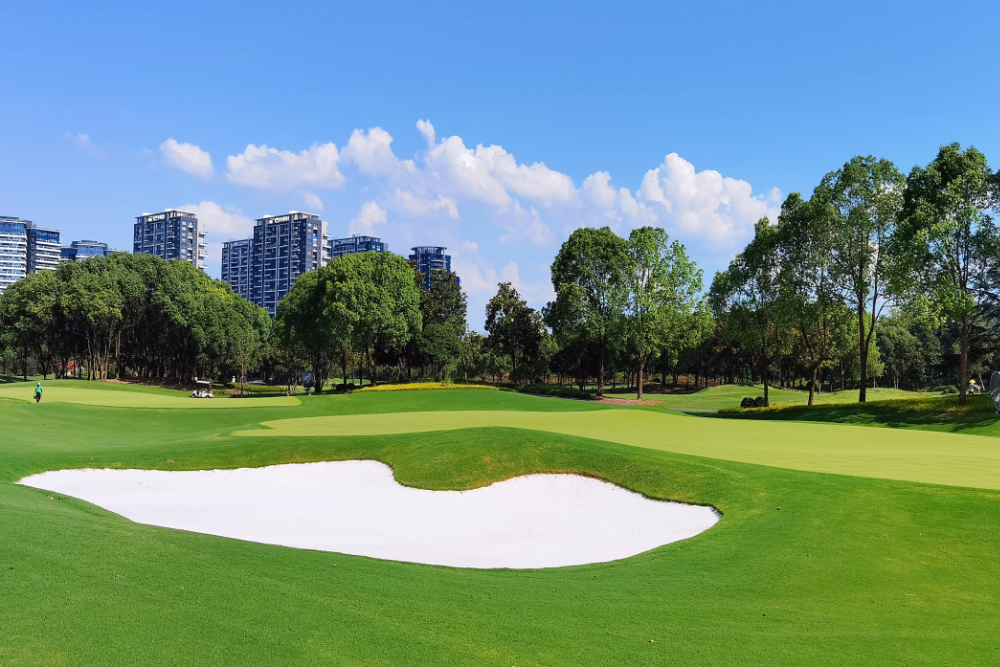 1733193042398834.png image021.png