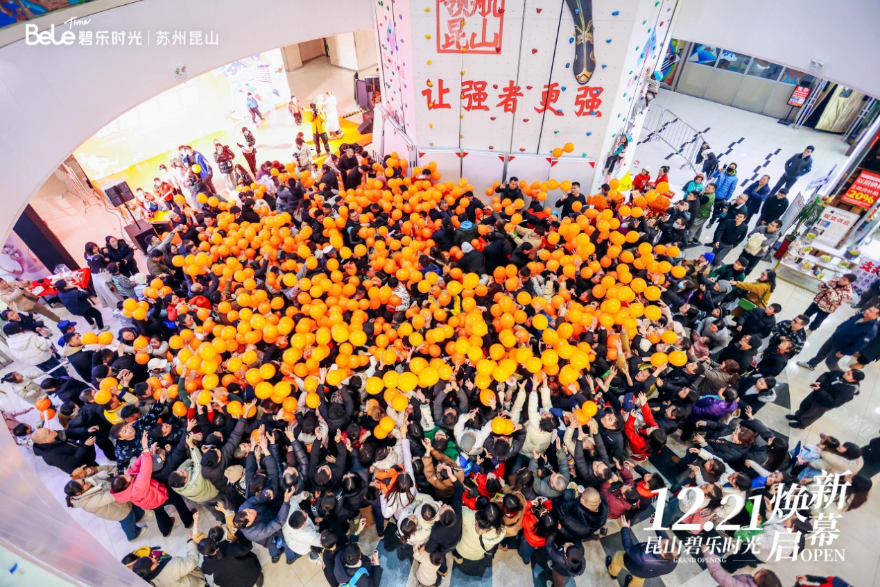 1735029065285278.jpg image017.jpg