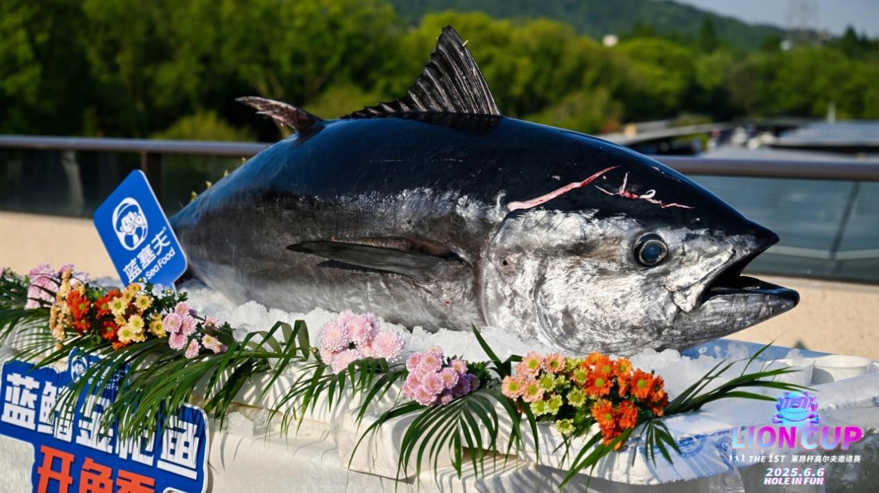 1749433542254700.jpg image035.jpg